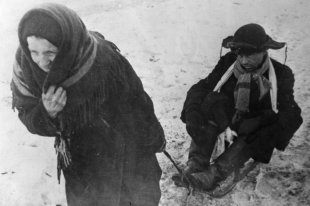    Историки и следователи: Блокаду Ленинграда надо признать геноцидом 