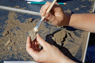    В Денисовой пещере нашли украшения возрастом 45 тысяч лет 