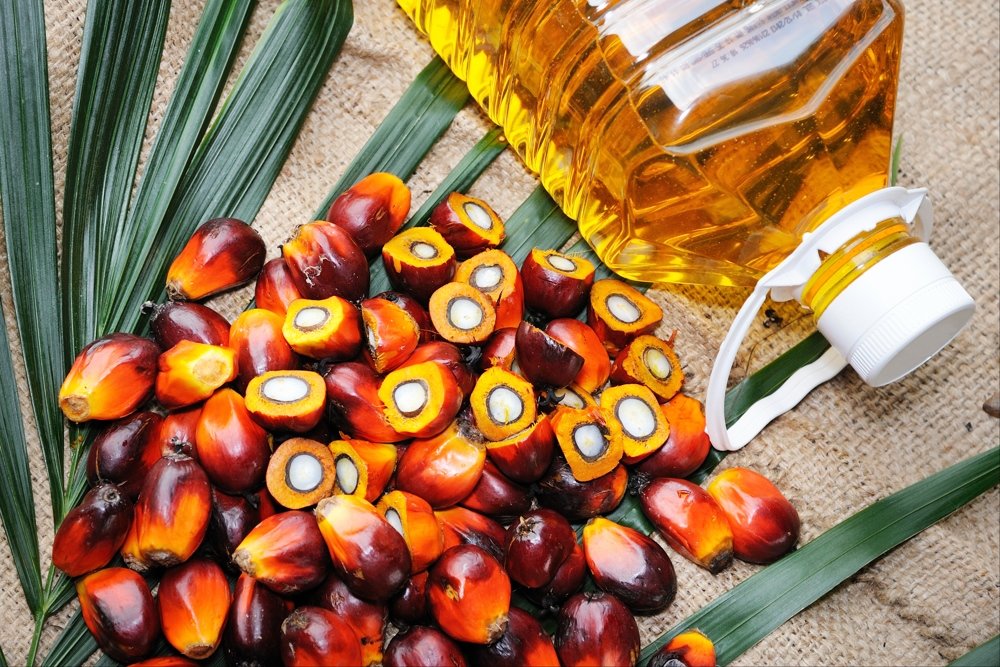 Эксперты рассказали о пользе и вреде пальмового масла - Российская газета
