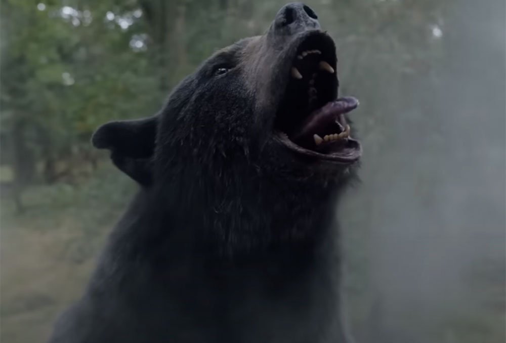 Вышел трейлер комедийного триллера Кокаиновый медведь - Российская газета